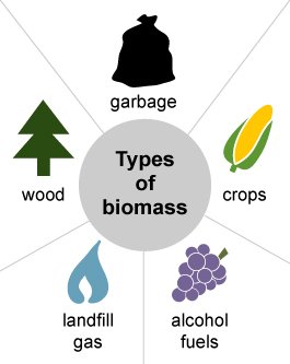 Biomass Boilers | Biomass Fuel: Types, Heating ...